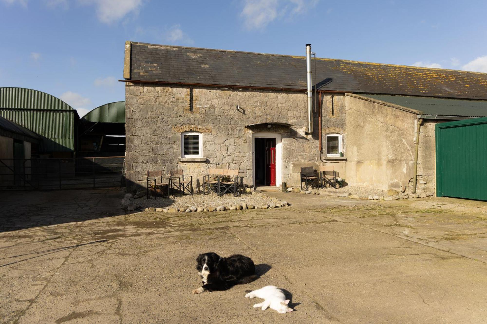 Hotel Fitz Of Inch Stradbally  Esterno foto